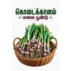 மலைப்பூண்டு 